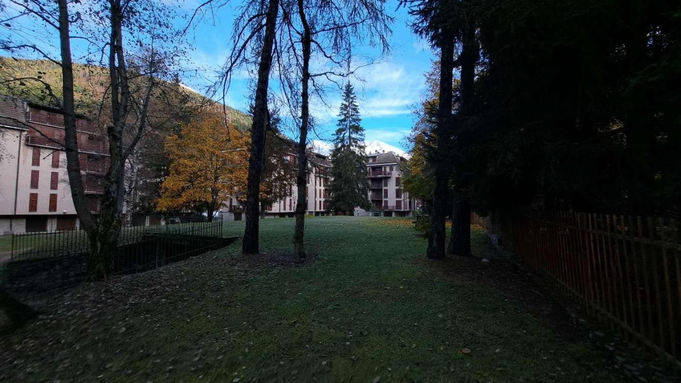 Meadows Apartment Ponte Di Legno Eksteriør billede