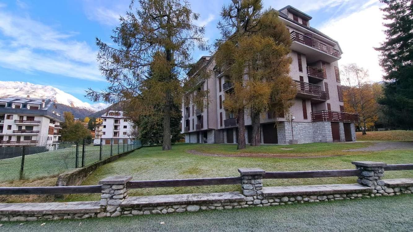 Meadows Apartment Ponte Di Legno Eksteriør billede